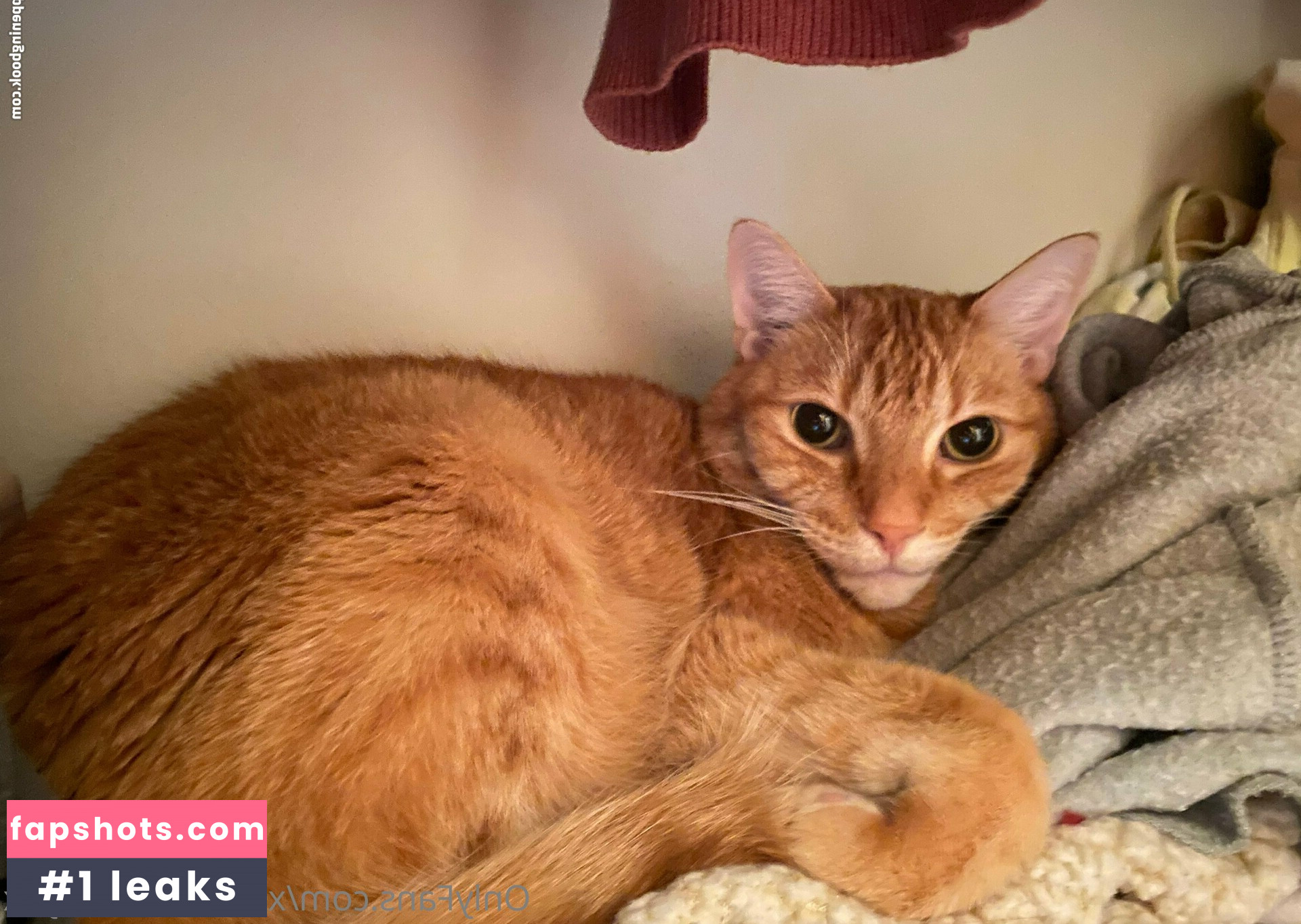 xxsacredhoneyxx gallery photo #16