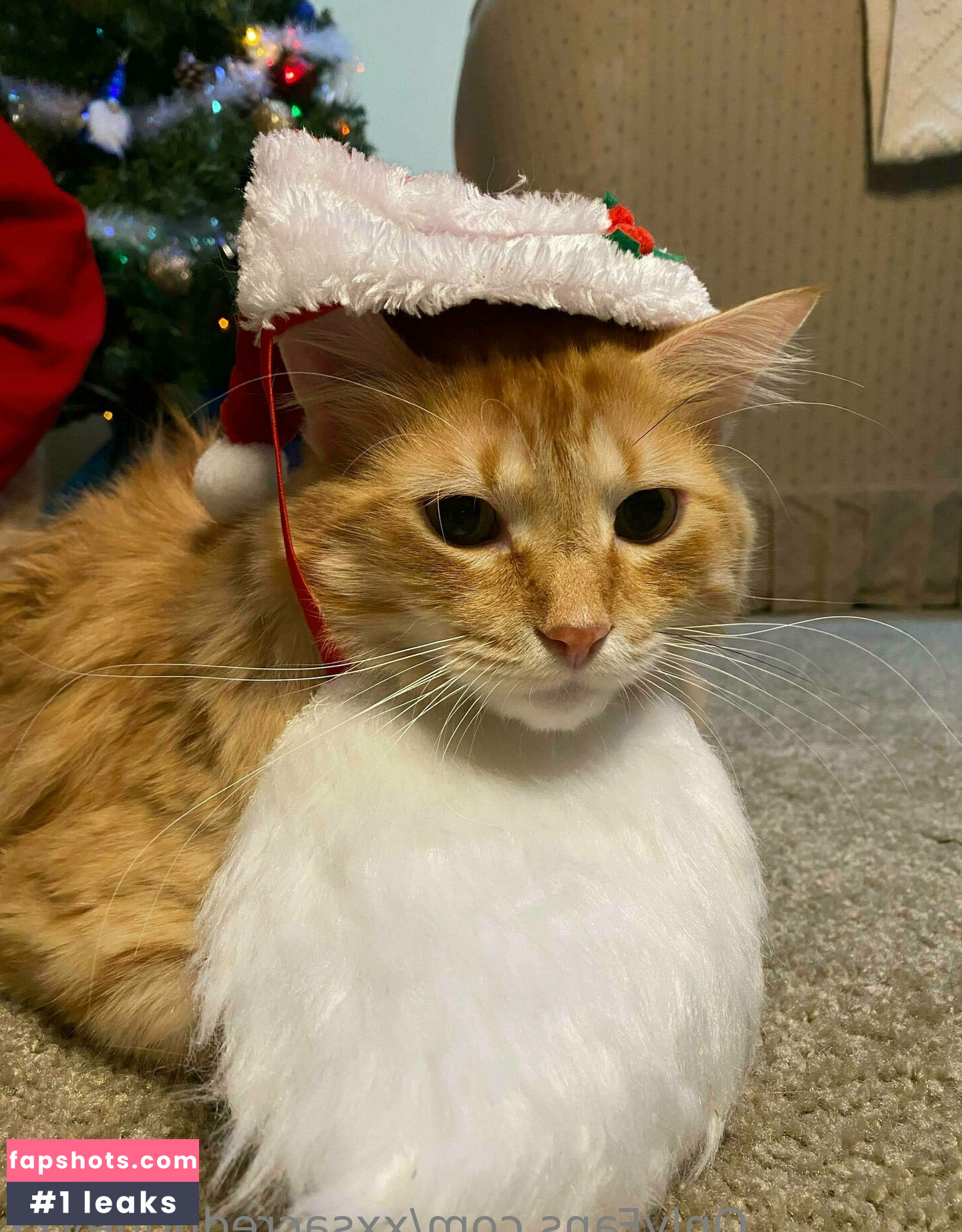 xxsacredhoneyxx gallery photo #17