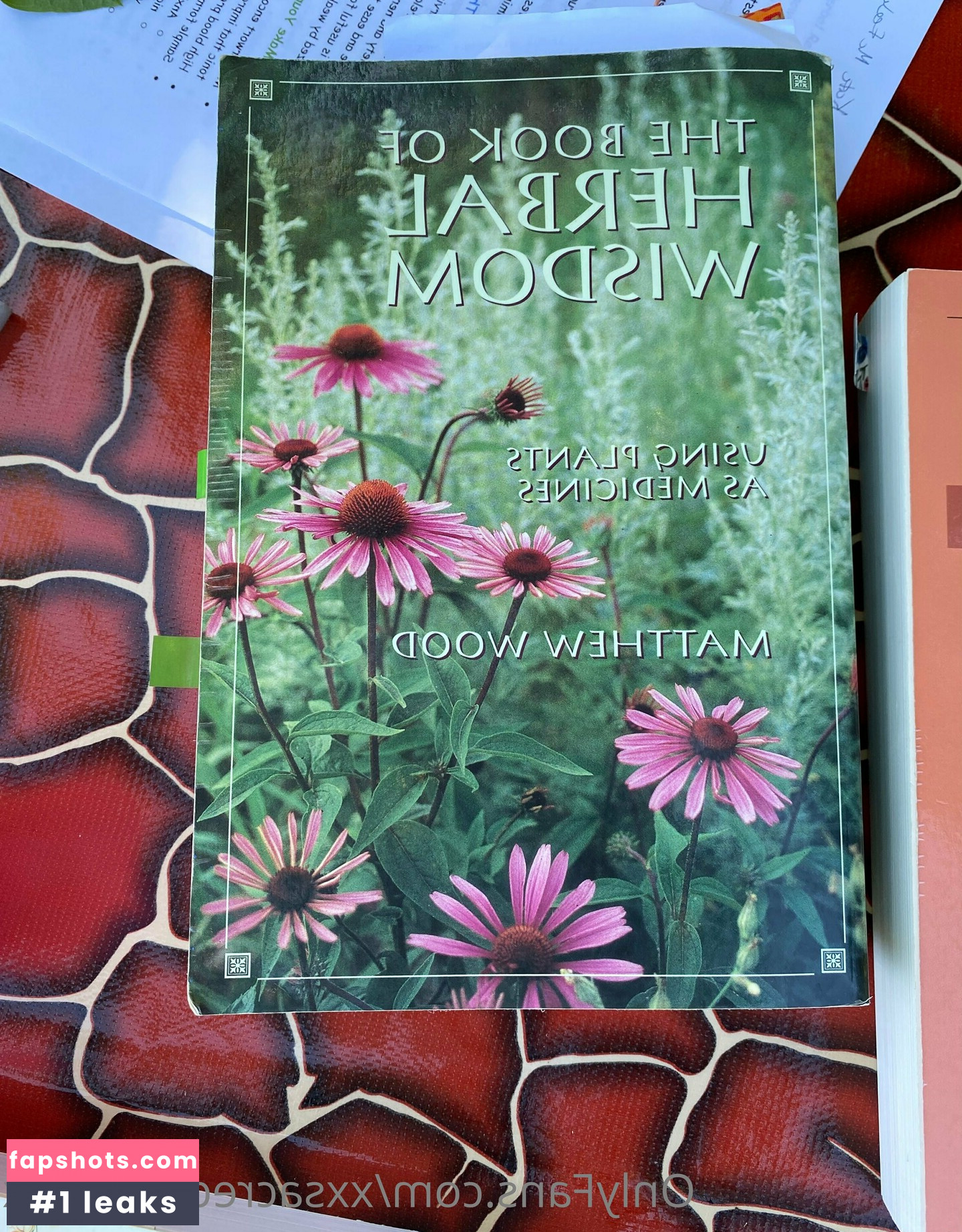 xxsacredhoneyxx gallery photo #23