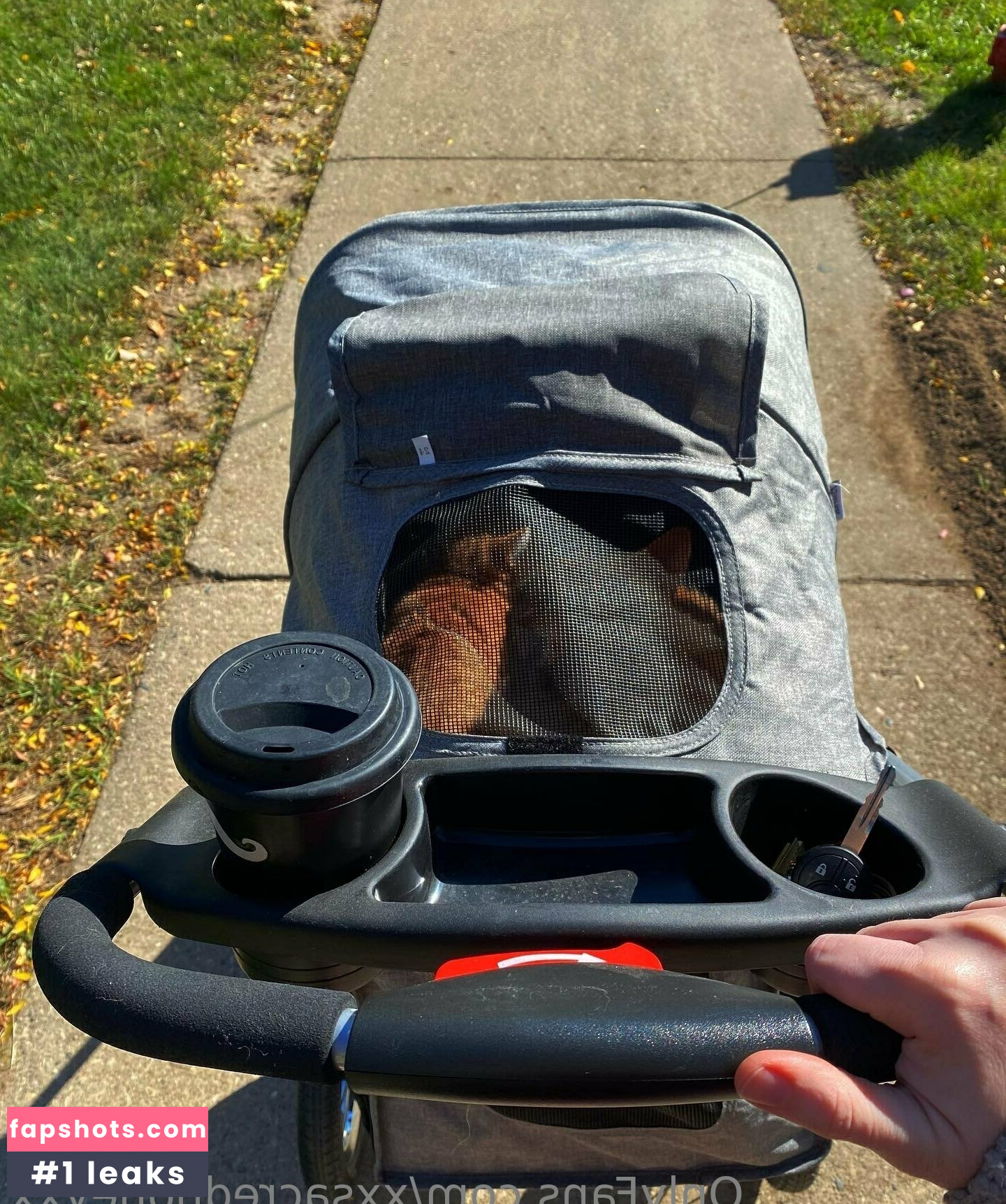 xxsacredhoneyxx gallery photo #4