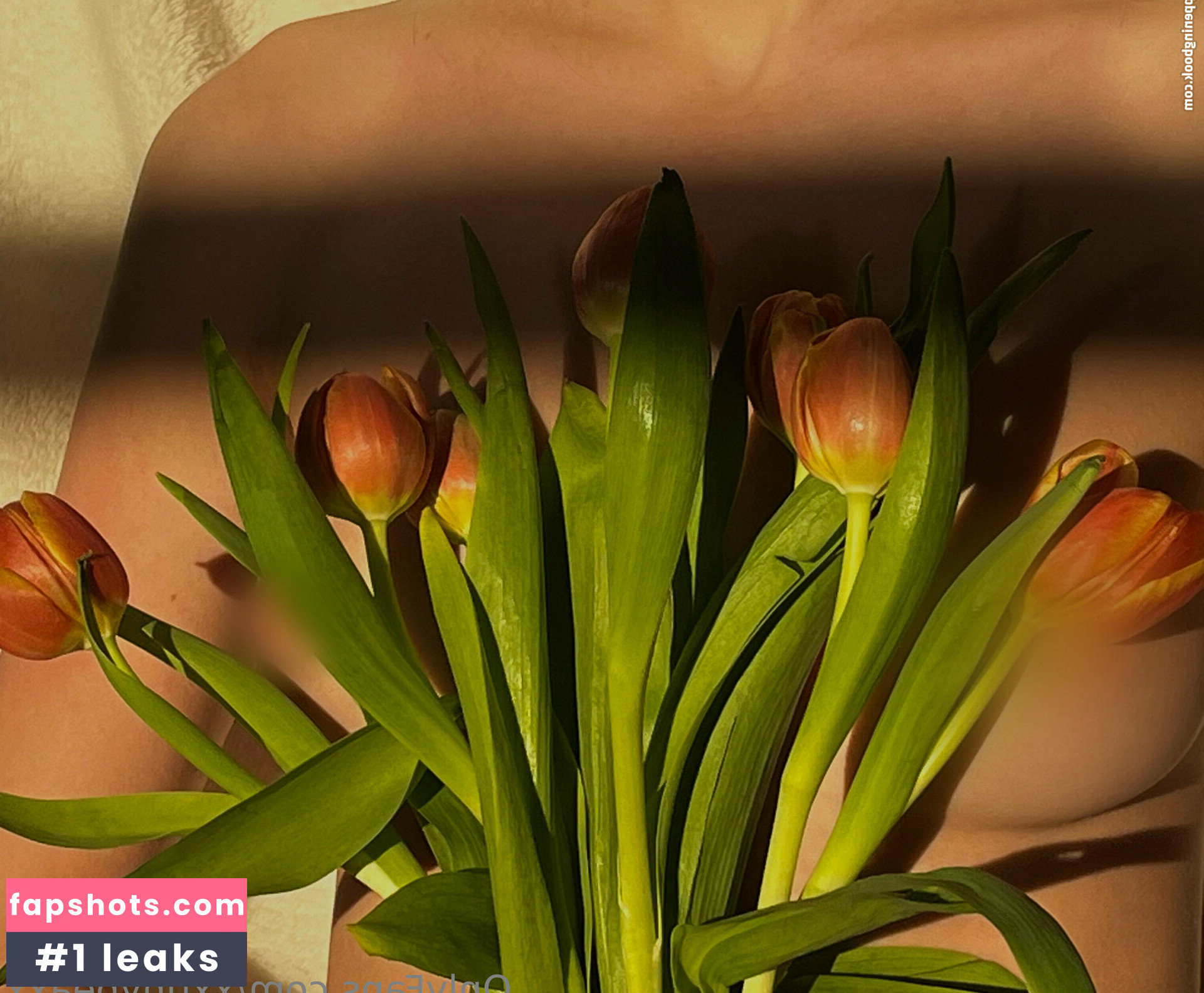 xxtinybeaxx Nahé úniky fotek pouze od fanoušků #4 - Fapshots