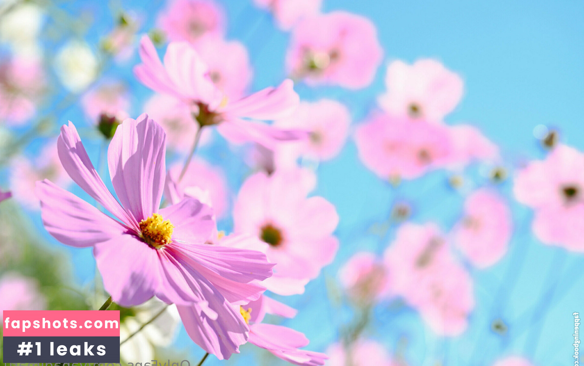 Yanagimaru Nude Leaks OnlyFans Photos #153 - LeakJerk