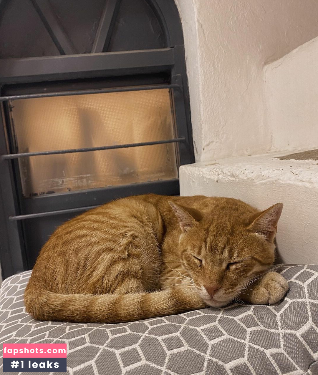 Yarden Jaldeti gallery photo #7