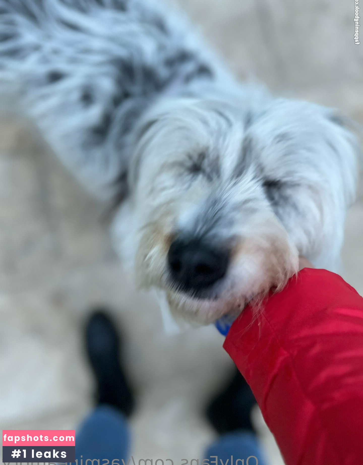 yasmineamory Nude Leaks OnlyFans Photos #26 - LeakJerk