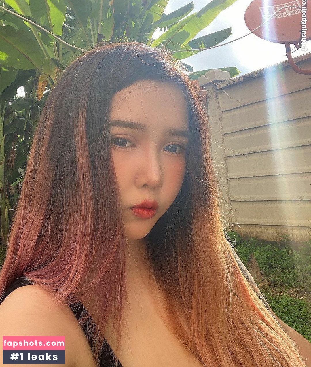 Yes Give gallery photo #18