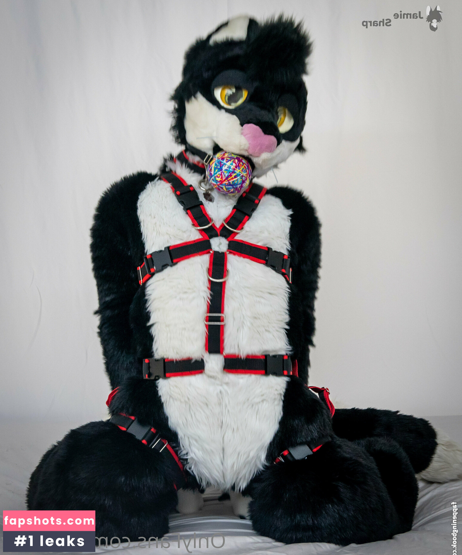 yiffykitty Nude Leaks OnlyFans Photos #23 - Fapshots