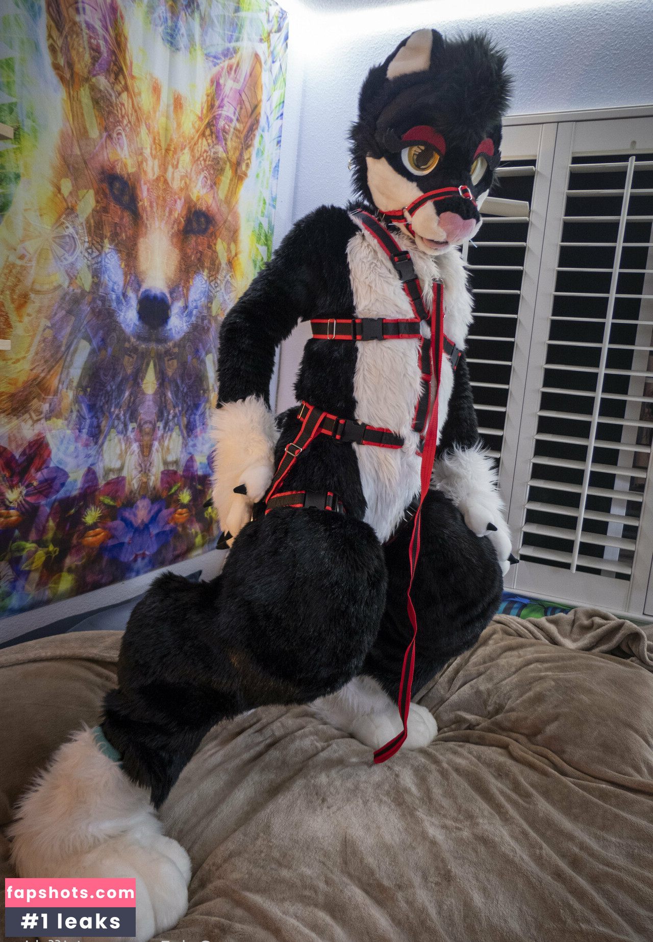 yiffykitty Nude Leaks OnlyFans Photos #24 - Fapshots