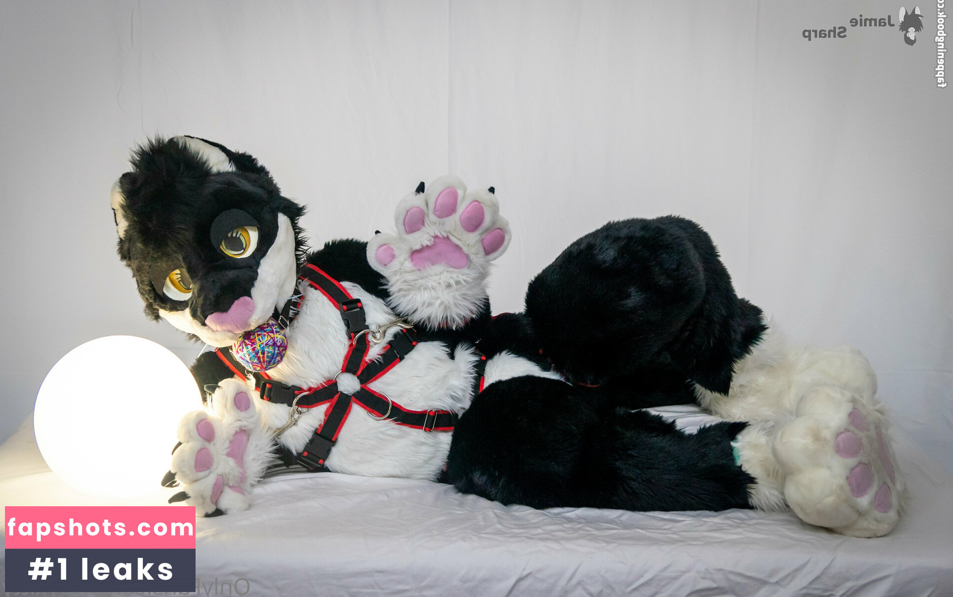 yiffykitty Nude Leaks OnlyFans Photos #7 - Fapshots