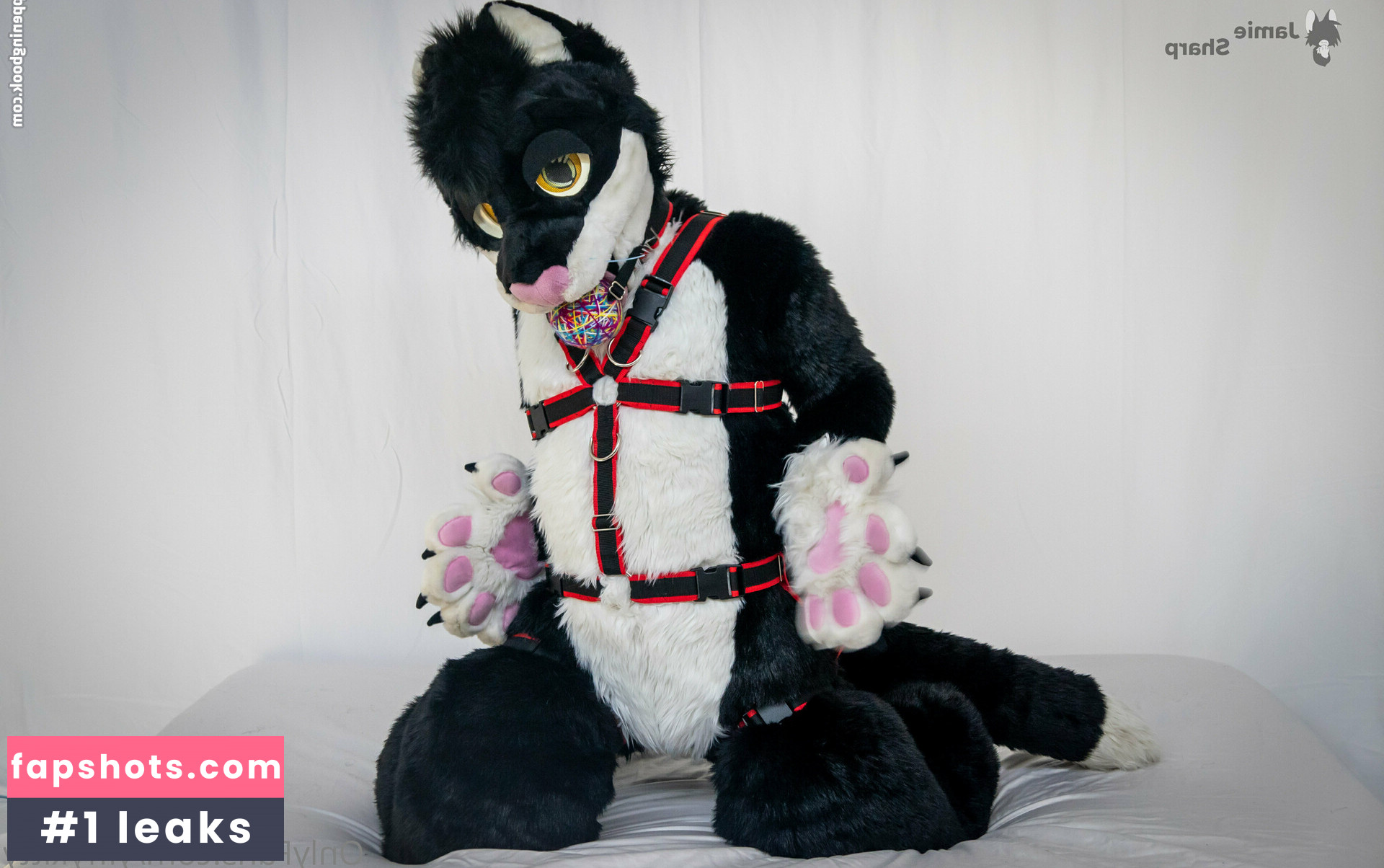 yiffykitty Nude Leaks OnlyFans Photos #9 - Fapshots