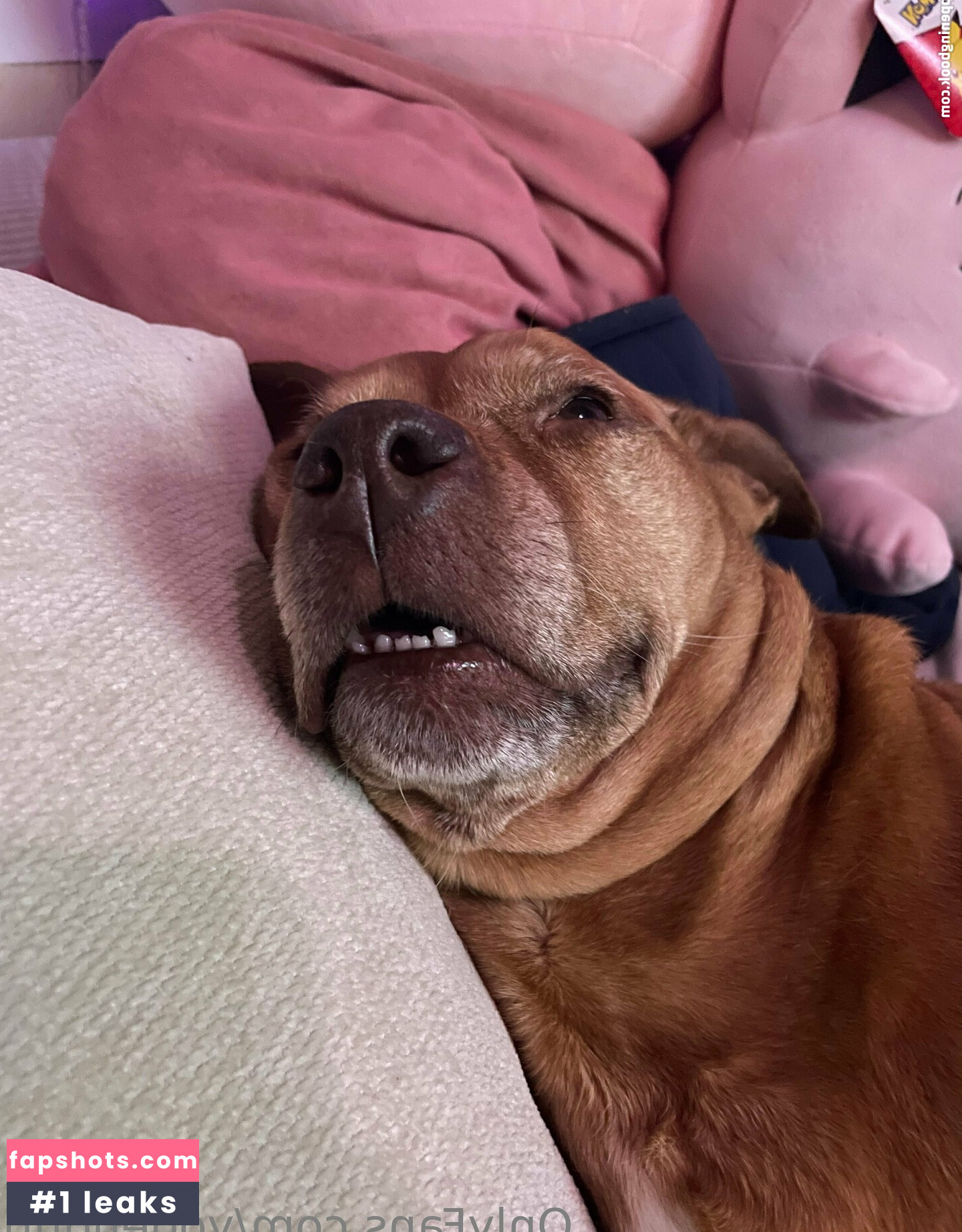 yogendub gallery photo #35