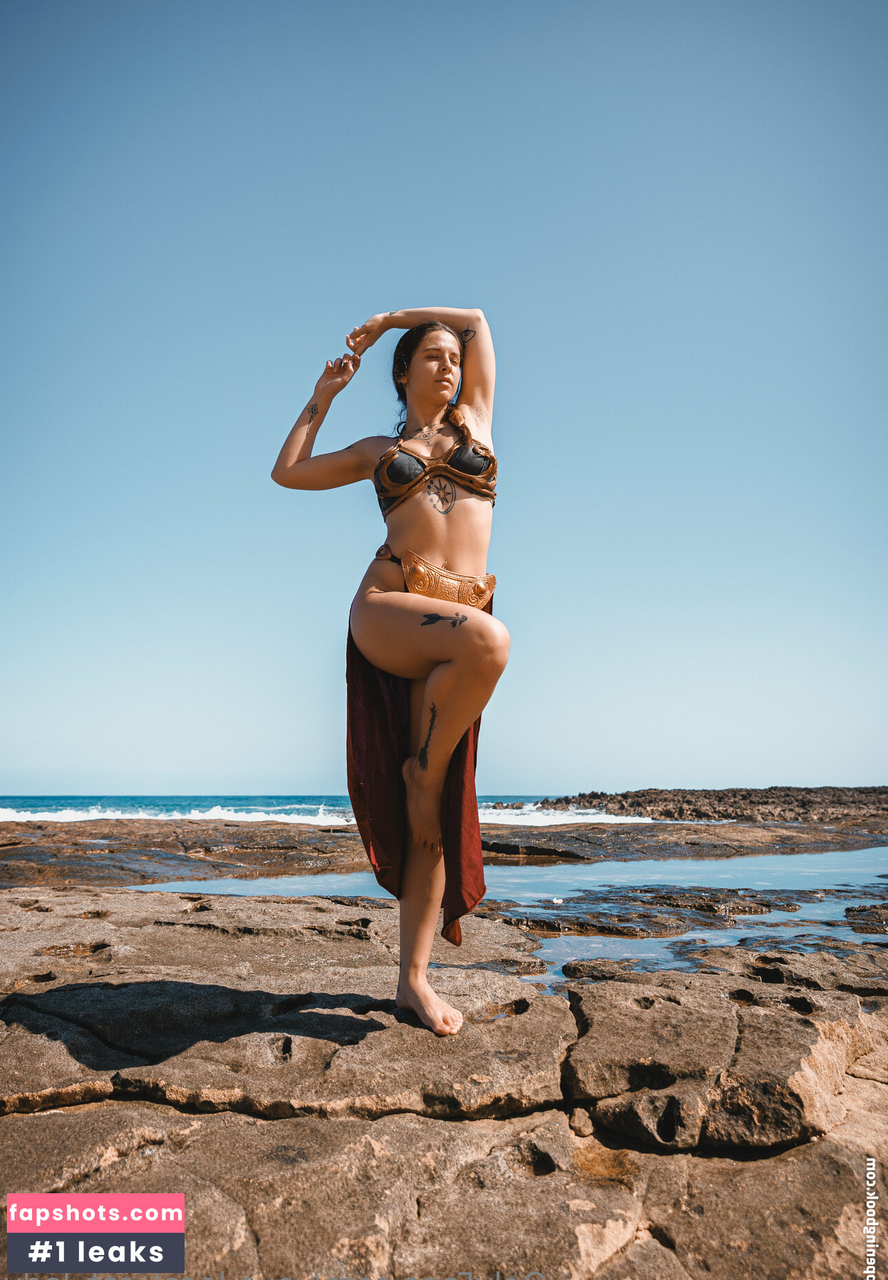 your_local_cat_lady gallery photo #3