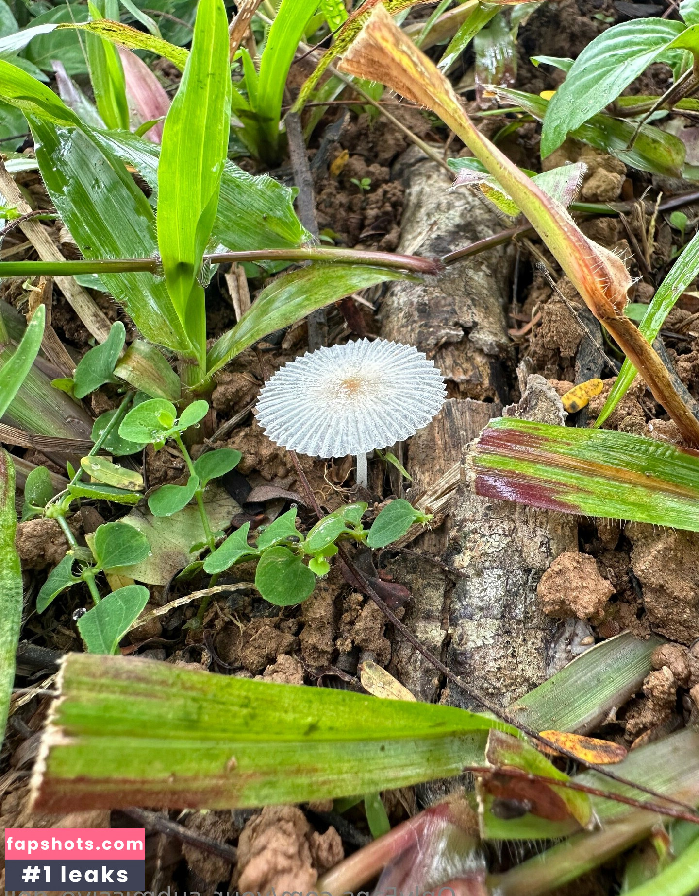 your_submissive_doll gallery photo #169