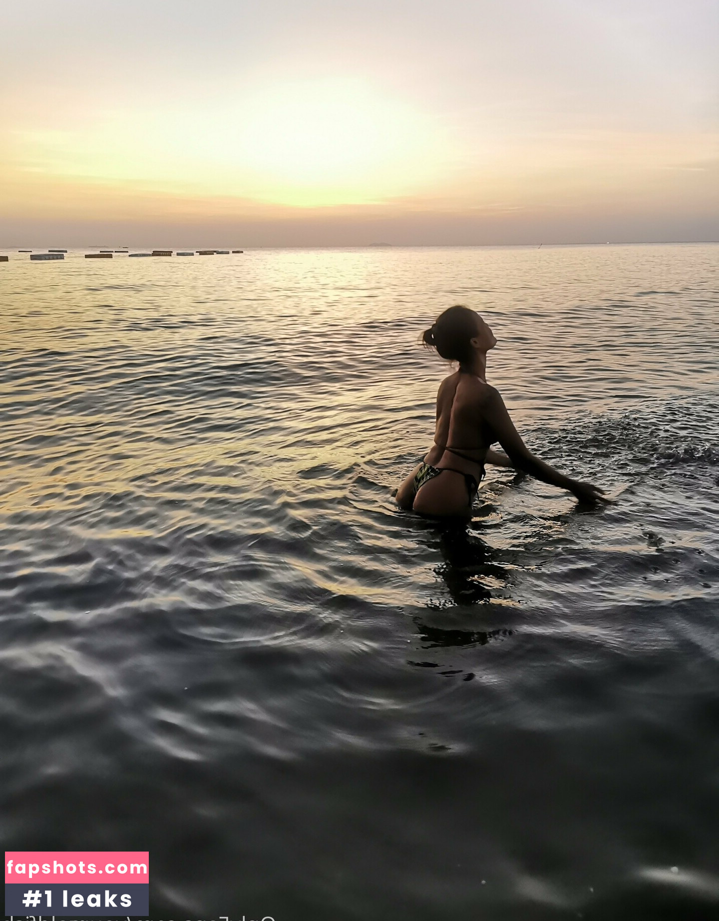 yourgoldfish gallery photo #27