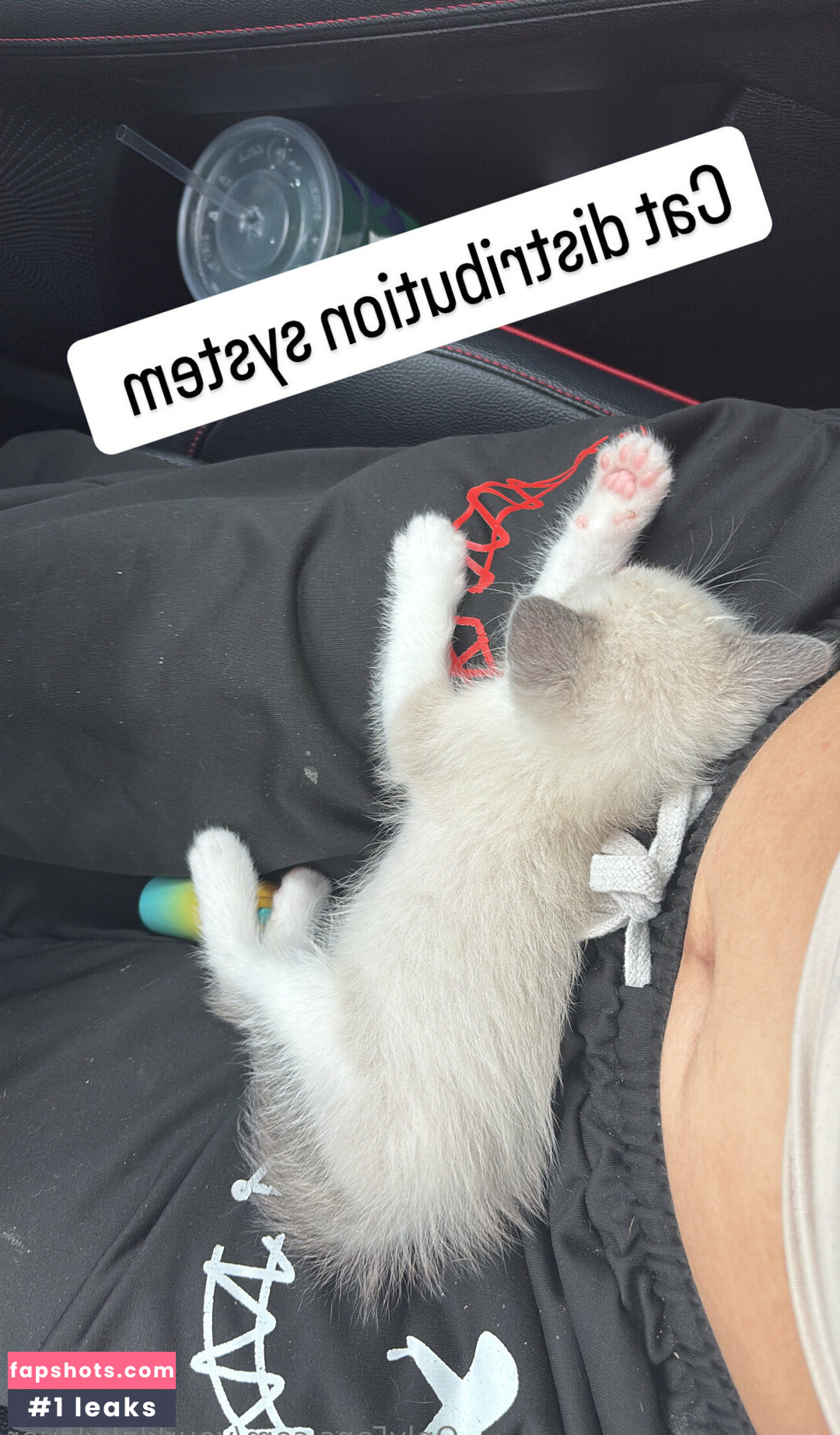 yourkinkylover gallery photo #6