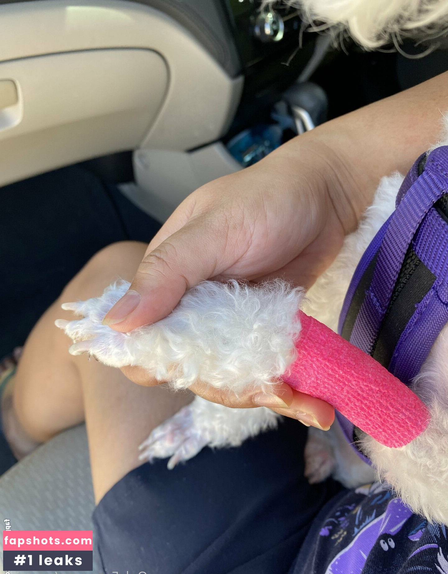 yuumii_z gallery photo #11