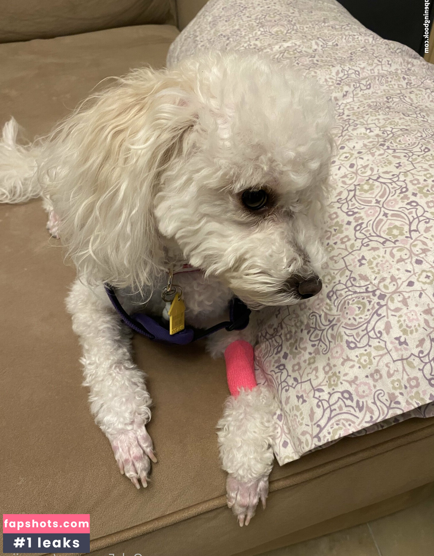 yuumii_z gallery photo #20