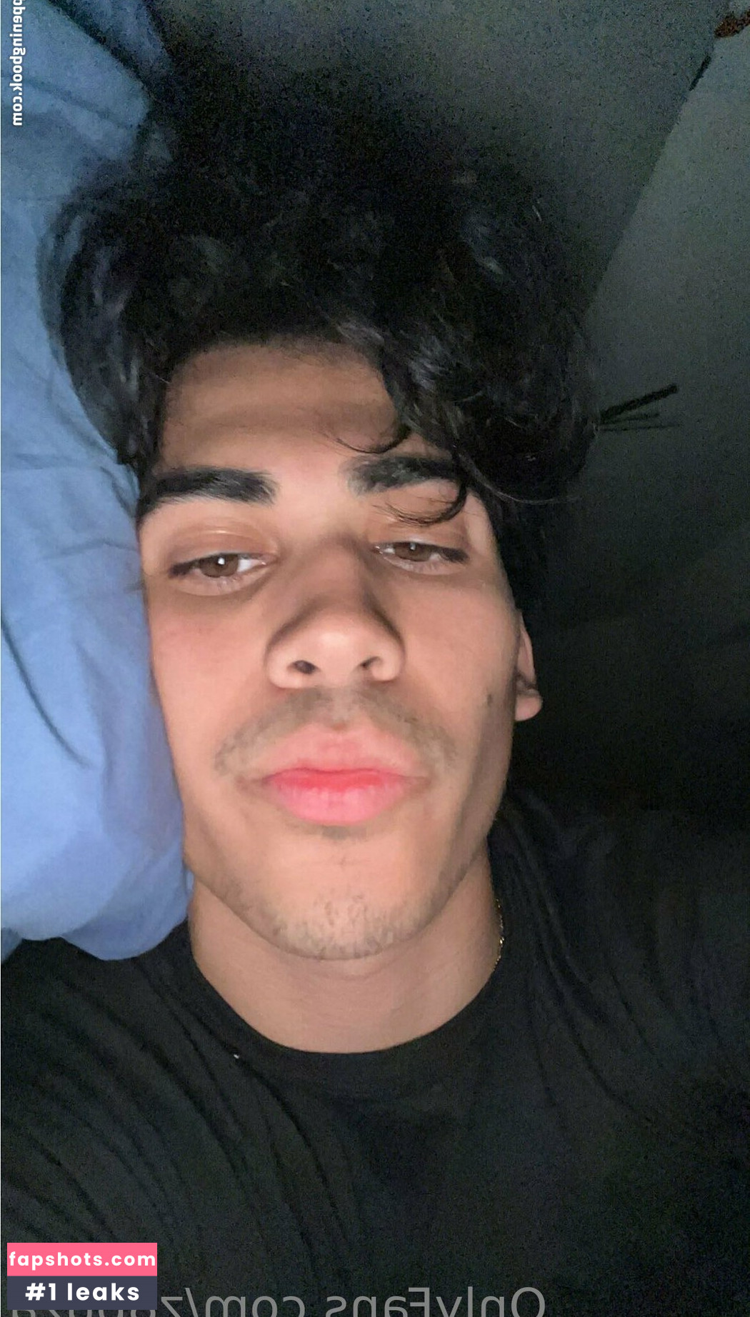 z8buza gallery photo #24