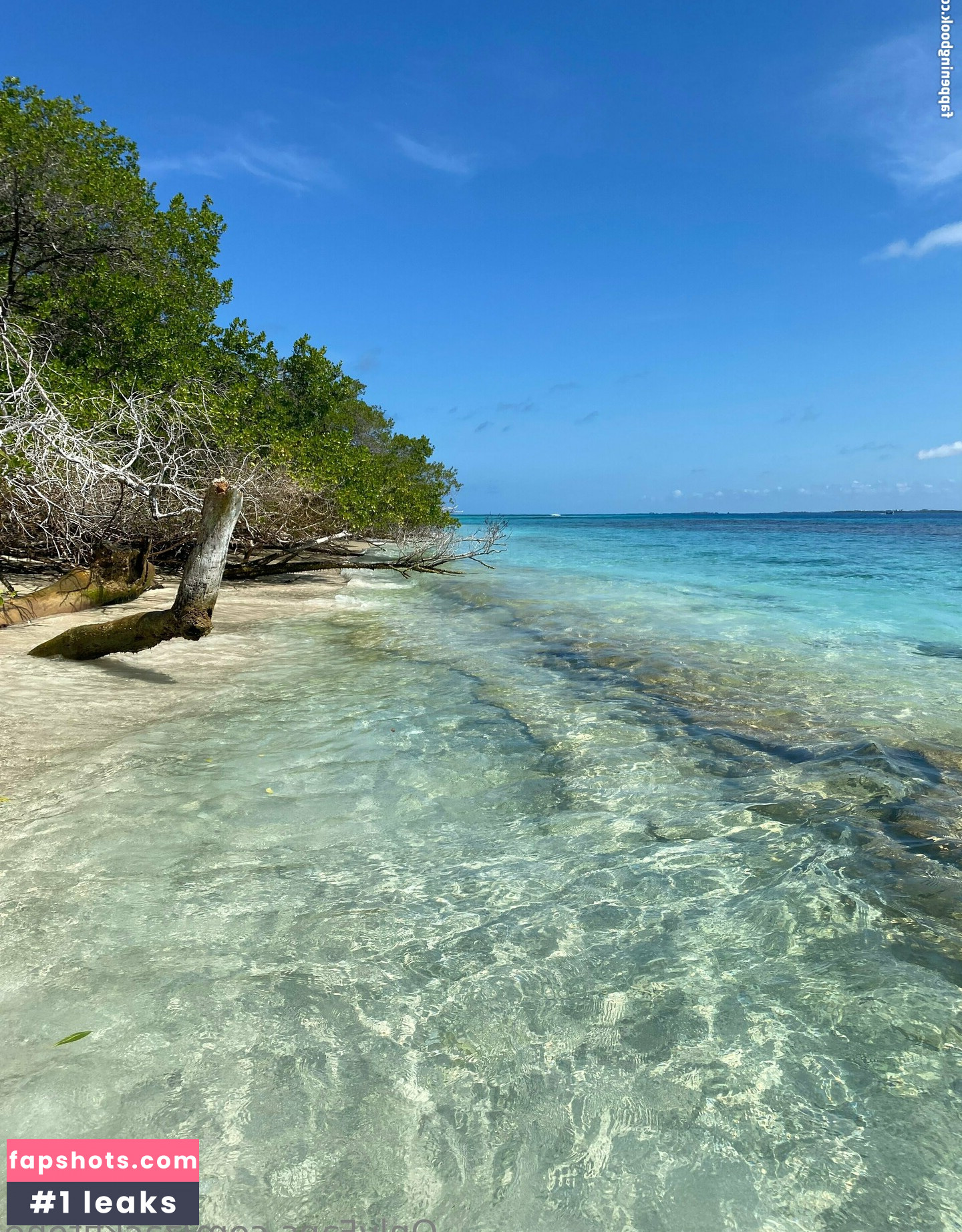 zackfitone gallery photo #23