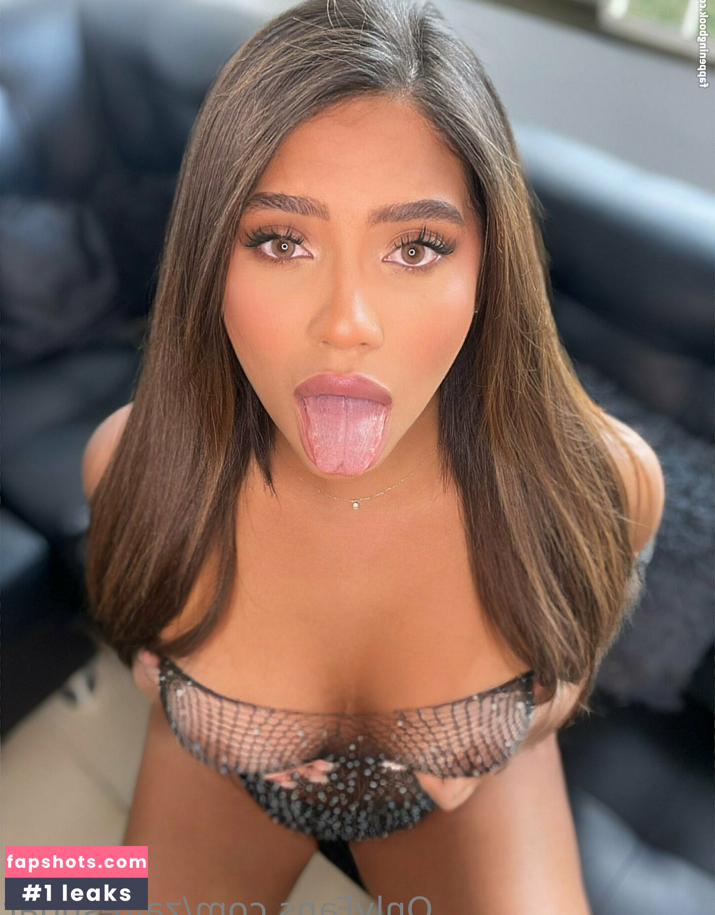 zairesugar gallery photo #9