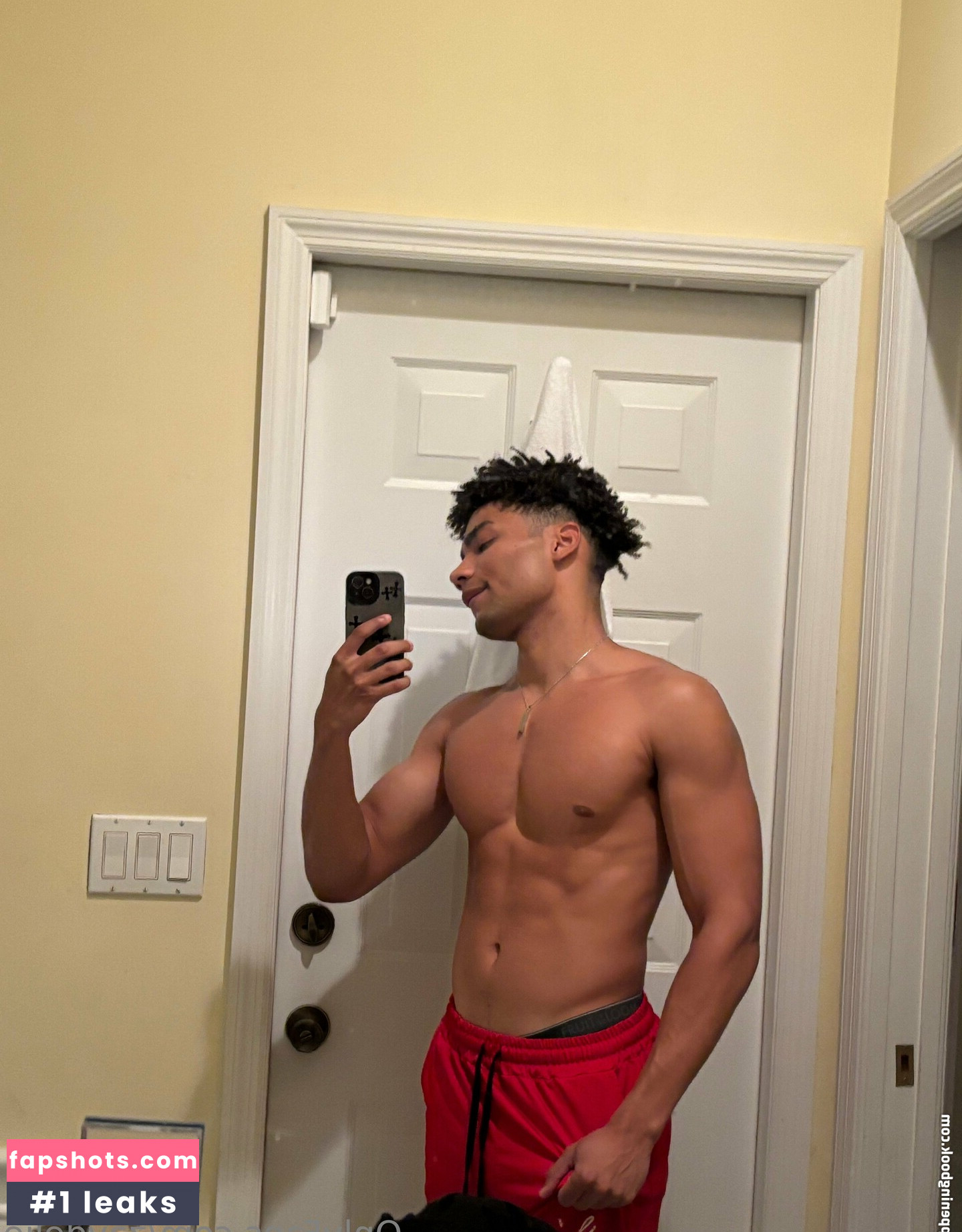 zaydelie gallery photo #10