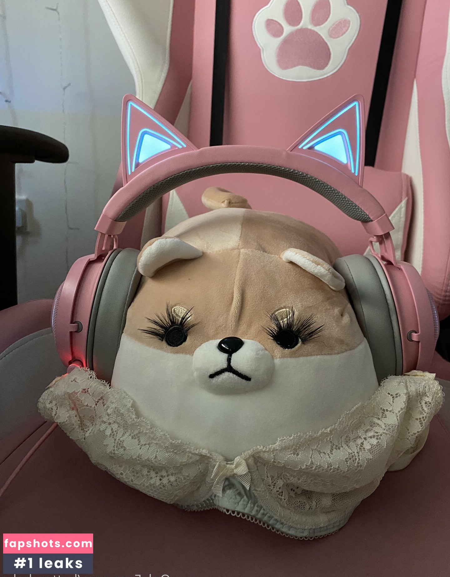 zaykap gallery photo #2