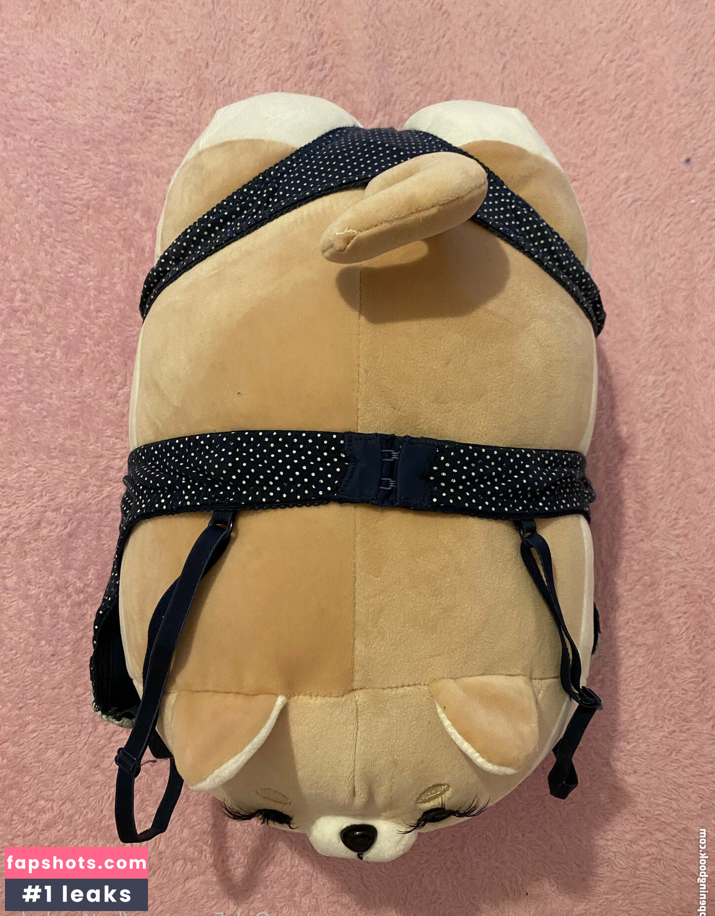 zaykap gallery photo #11