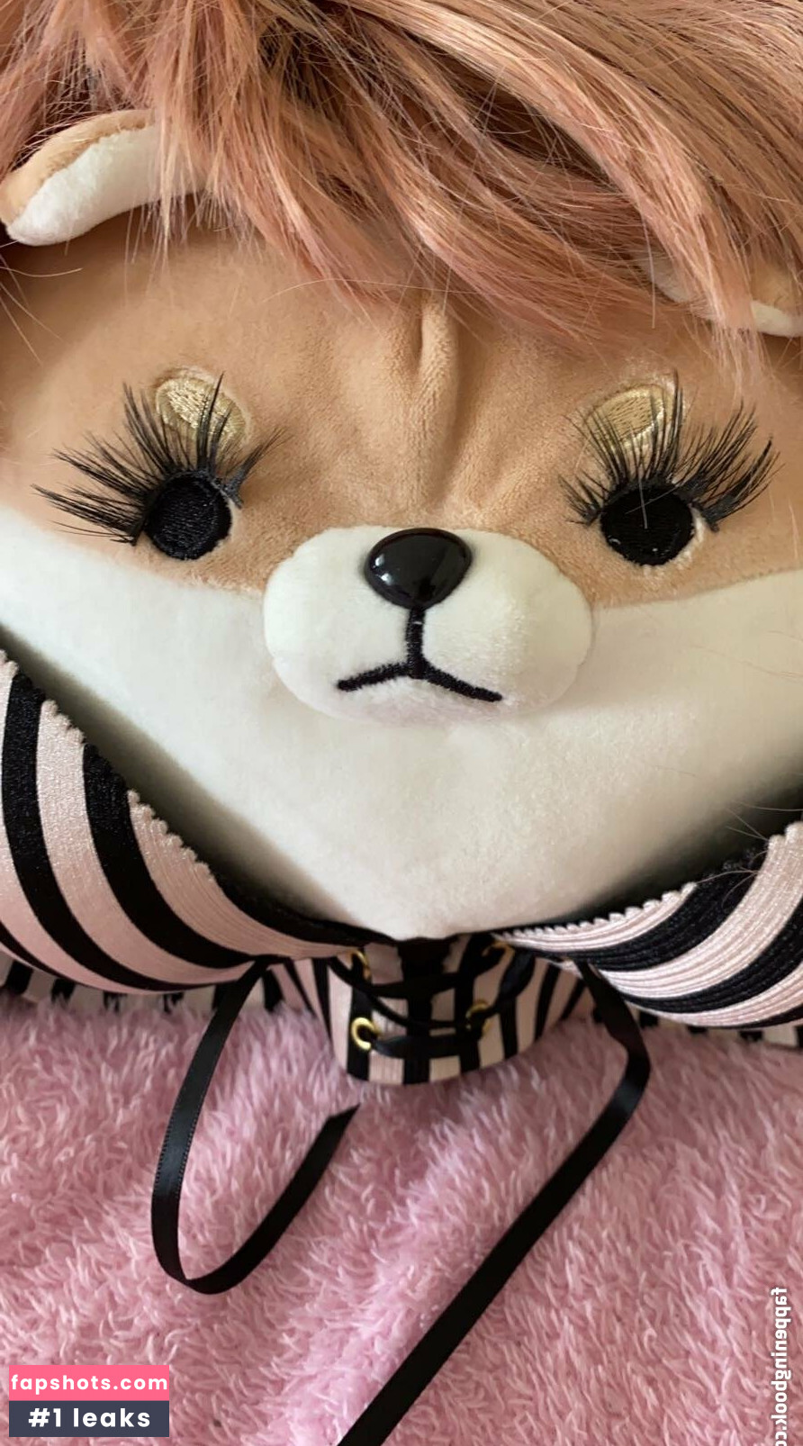 zaykap gallery photo #12