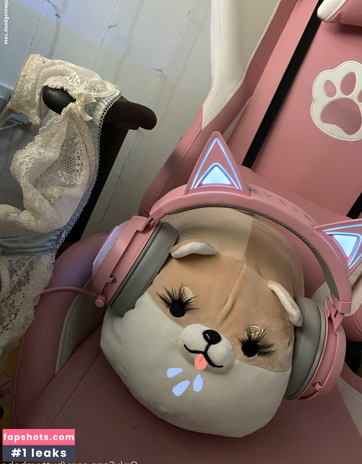 zaykap gallery photo #13