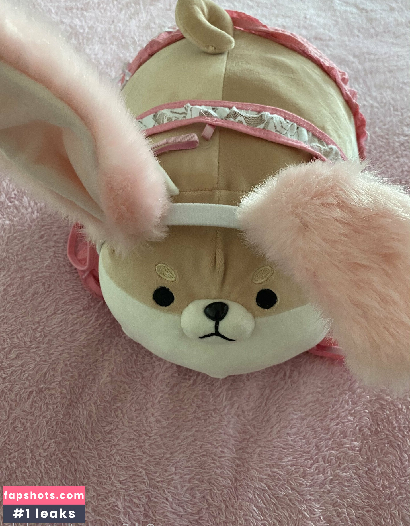 zaykap gallery photo #14