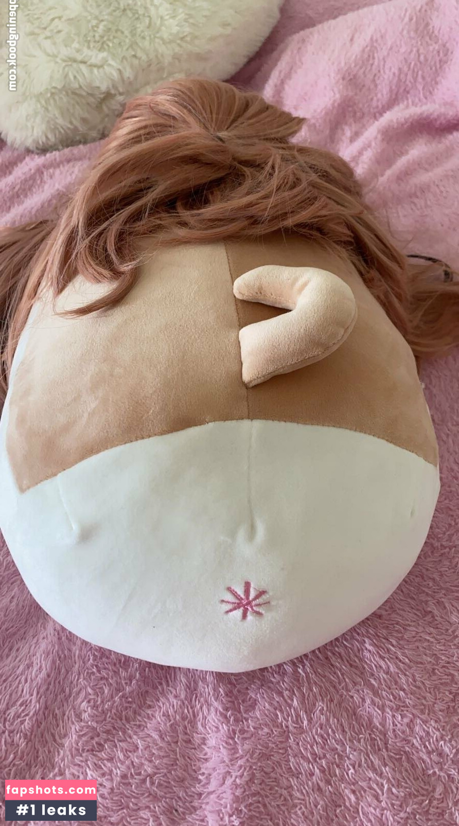 zaykap gallery photo #15