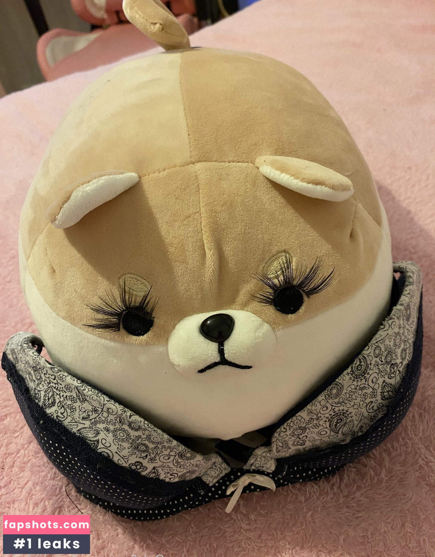 zaykap gallery photo #18