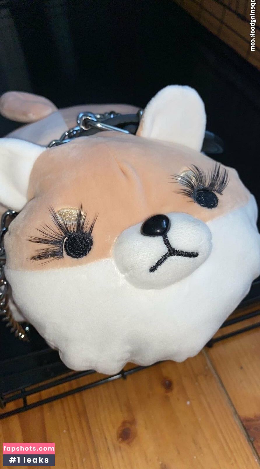 zaykap gallery photo #19