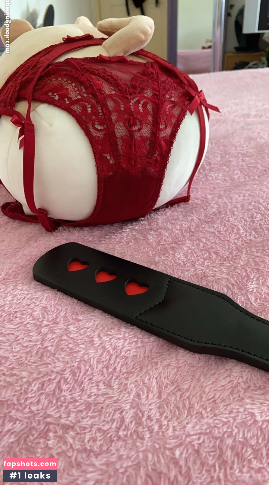 zaykap gallery photo #20