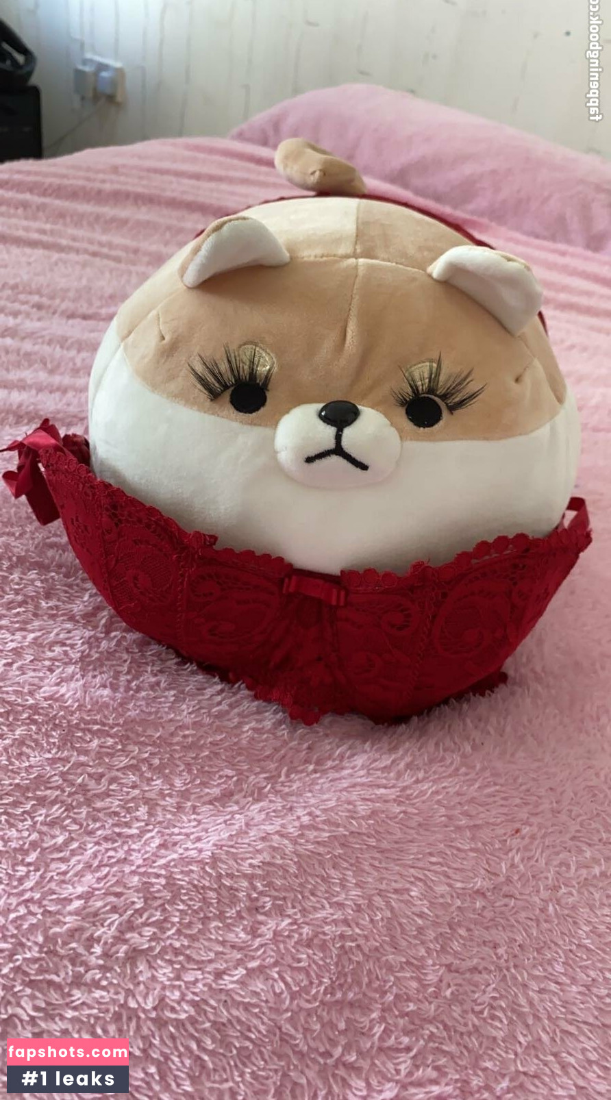 zaykap gallery photo #21