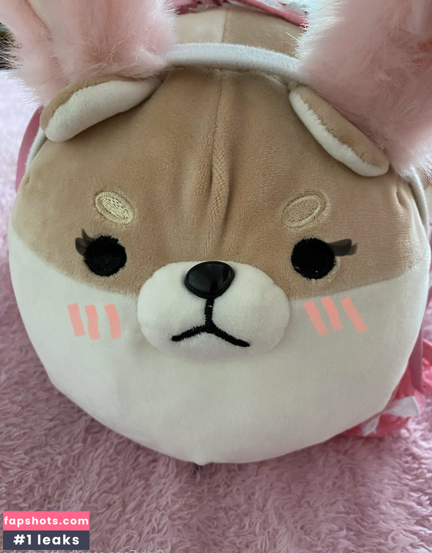 zaykap gallery photo #22