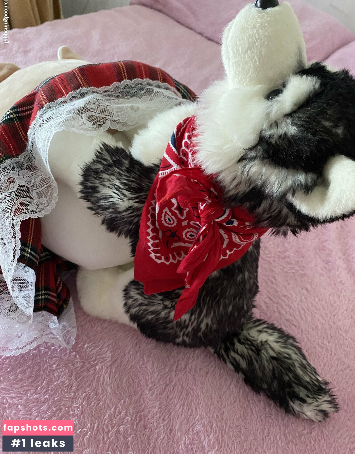 zaykap gallery photo #23