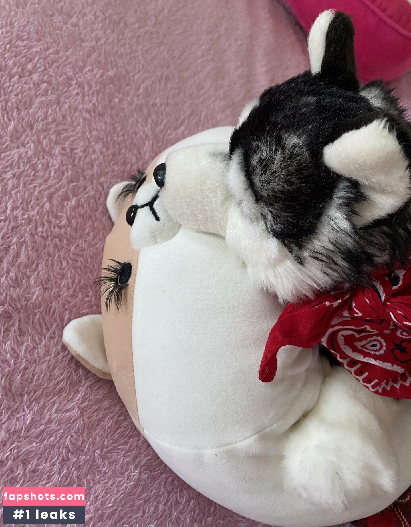 zaykap gallery photo #5