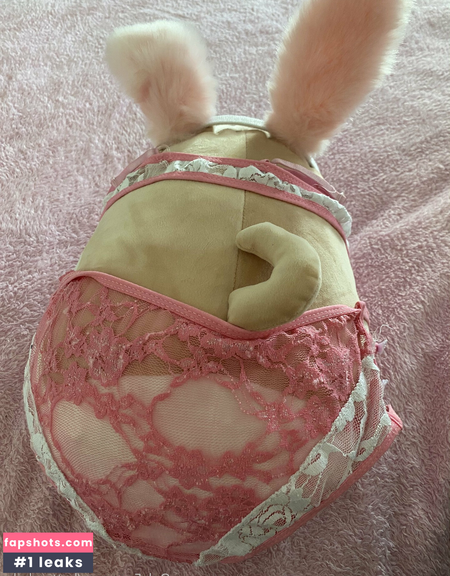 zaykap gallery photo #6