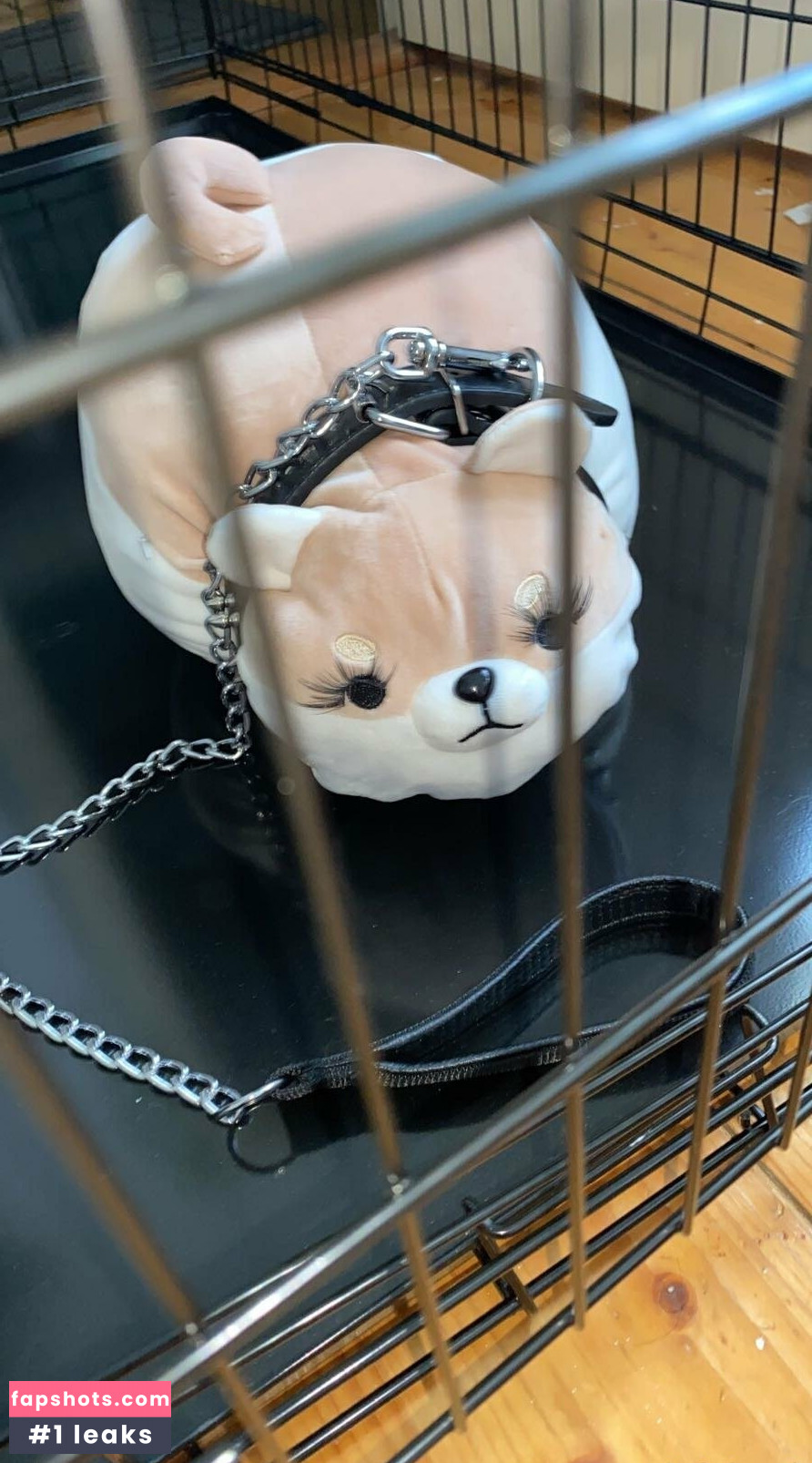 zaykap gallery photo #7