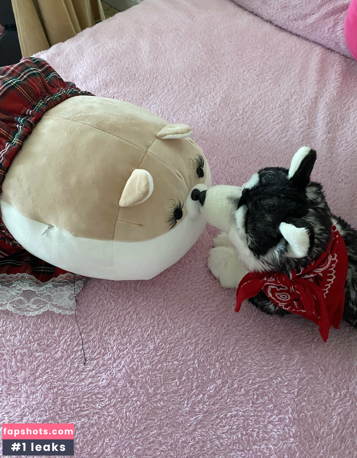 zaykap gallery photo #8