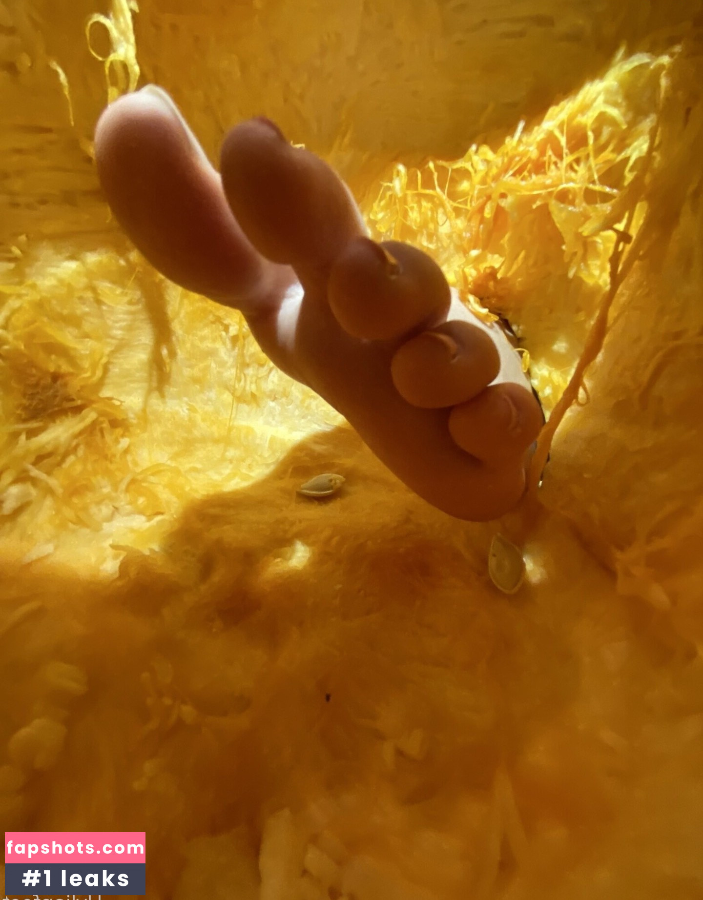 ZeldaHyrule gallery photo #58