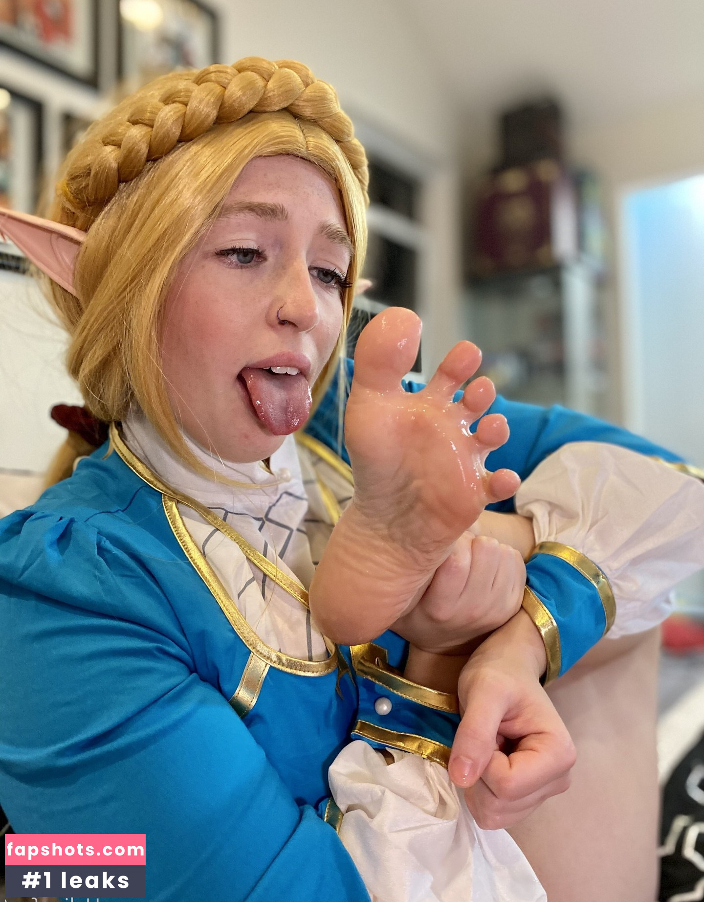 ZeldaHyrule gallery photo #73