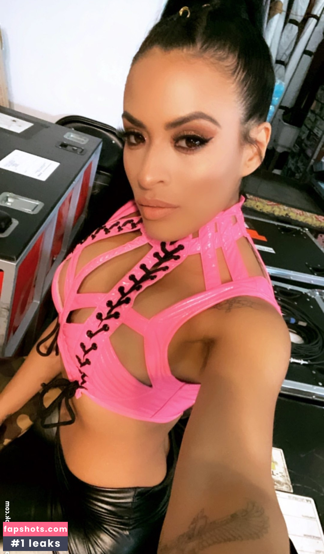 Zelina Vega gallery photo #584