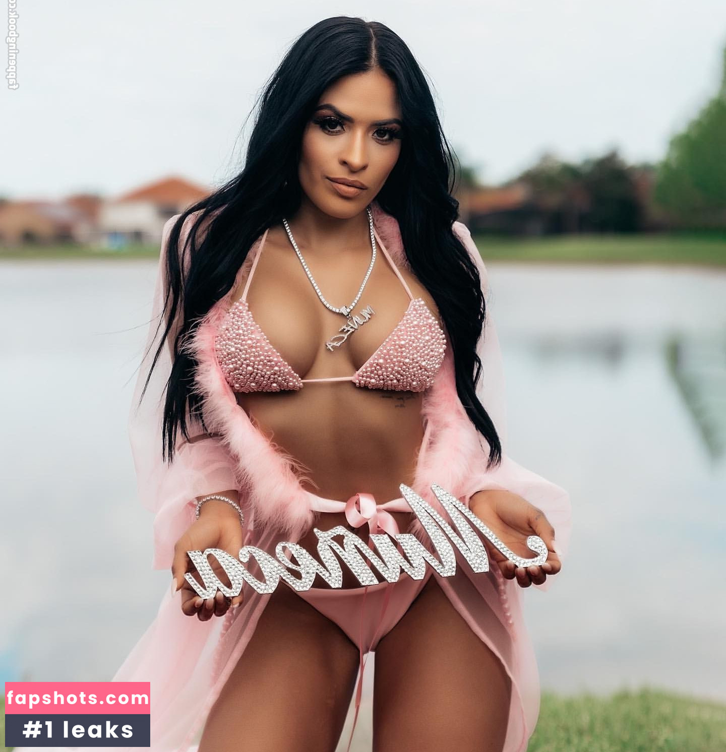 Zelina Vega gallery photo #643