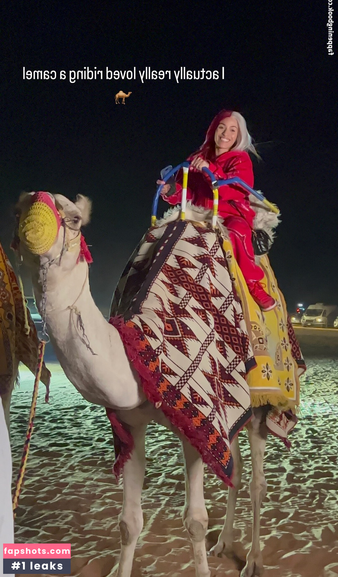 Zelina Vega gallery photo #69