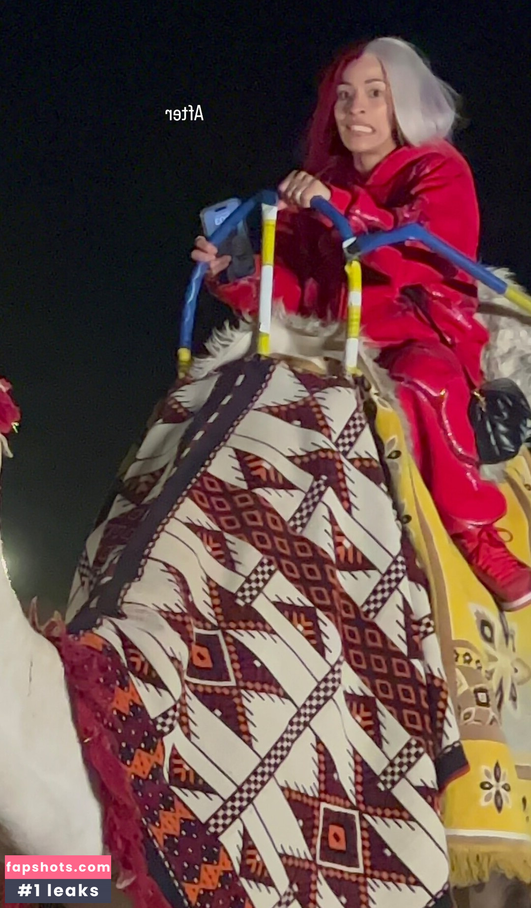 Zelina Vega gallery photo #70