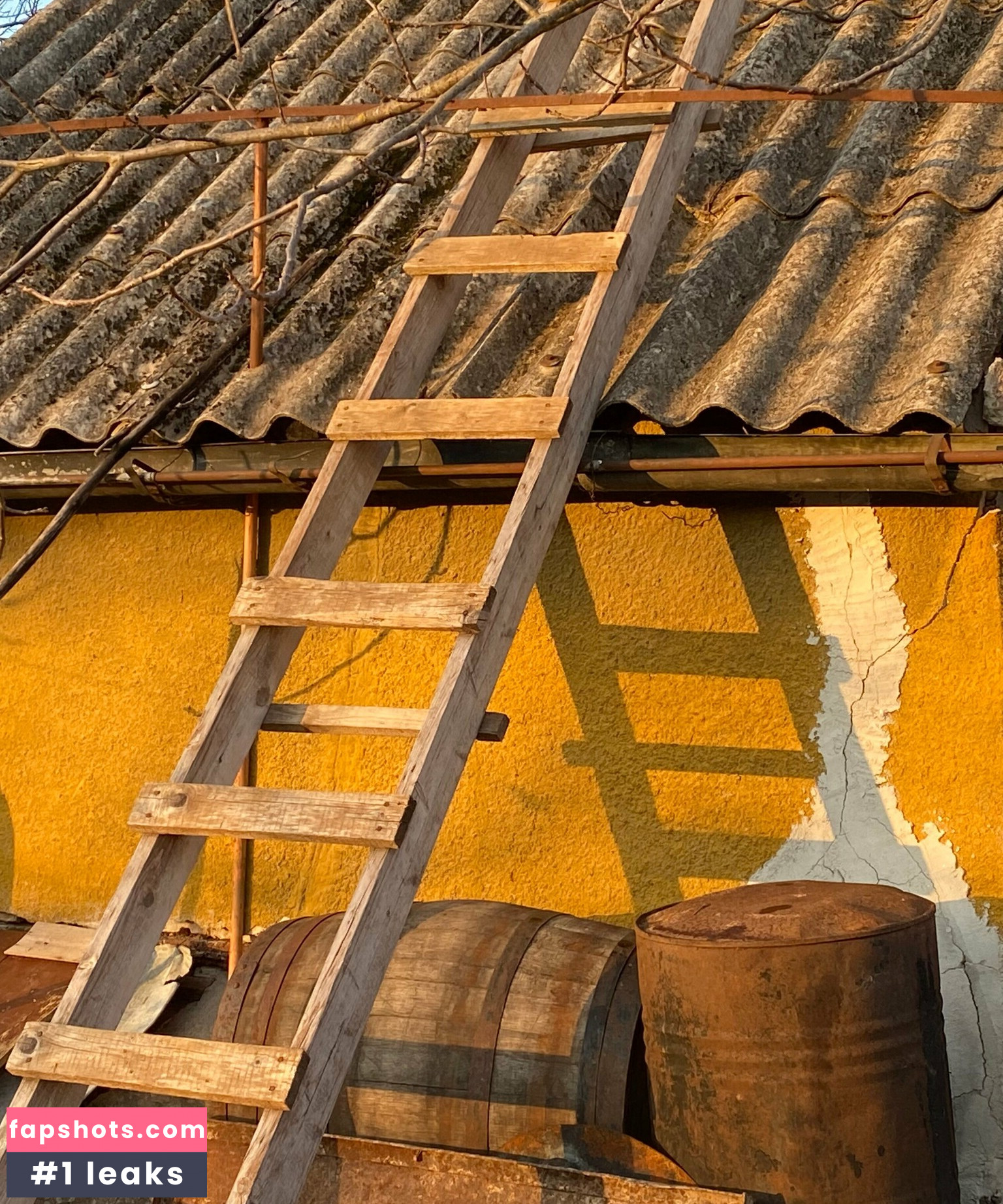 zhanna_v gallery photo #3