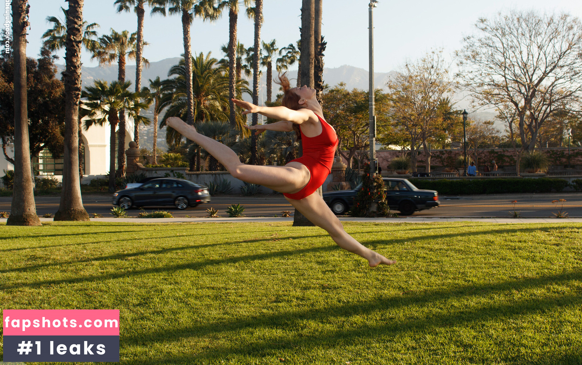 Zishy gallery photo #1652