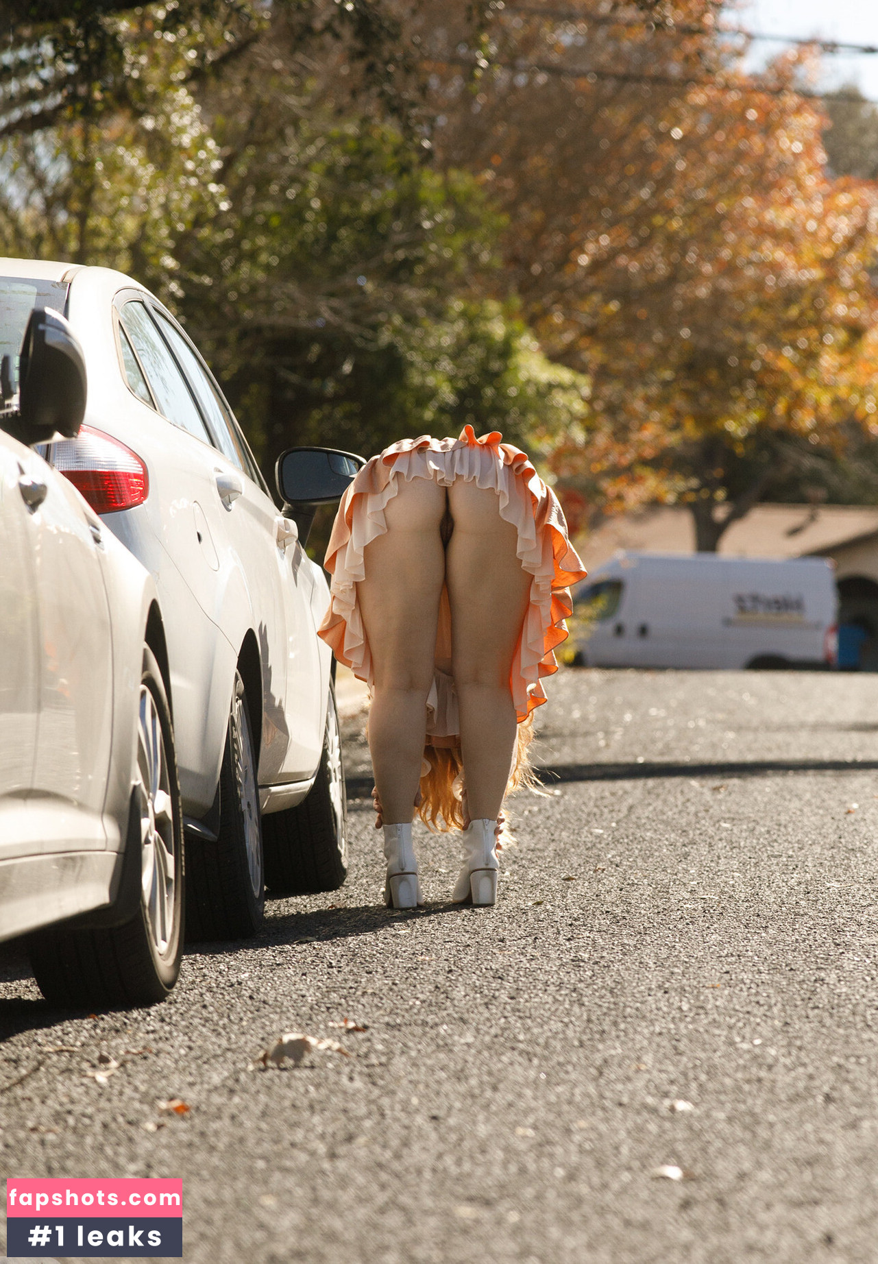 Zishy gallery photo #866