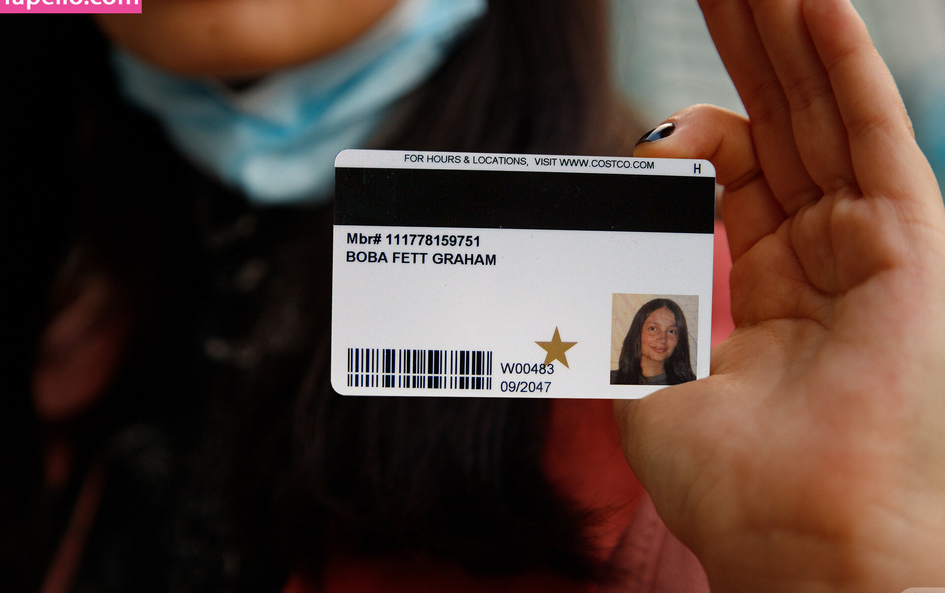 zishy gallery photo #1565